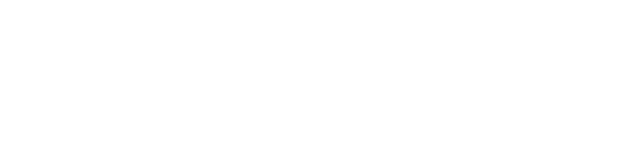 Dolphin Computer Upgrades Limited